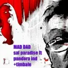 About Mad Dad Song