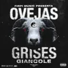 About Ovejas Grises Song