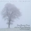 About Grey Blanket Drops and the World Reduced to Arm's Length Song