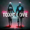 About Toxic Love Song