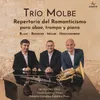 Trio Op. 61: I. Allegretto