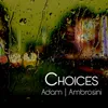 About Choices Song
