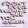 About I Don't Ever Wanna See You Again Song