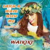 About Catch a Wave with Me Song