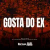 About Gosta do Ex Song