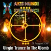 About Virgin Trance in the Womb Song