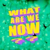About What Are We Now? Song