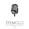 About Tremolo Song