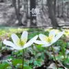 About Spring Song