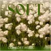 About Soft Song
