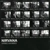 About Nirvana Song