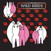 About Wild Birds Song