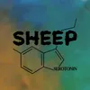 About Serotonin Song