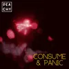 About Consume & Panic Song