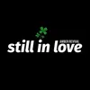 About Still in Love Song