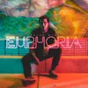 About Euphoria Song