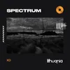 About Spectrum (Say My Name) Song