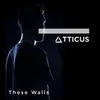 About These Walls Song