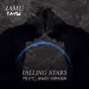 About Falling Stars Song