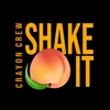 About Shake It Song