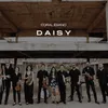 About Daisy Song