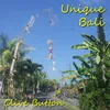 Unique Bali Theme
