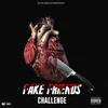 About Fake Friends Song