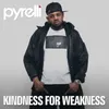 About Kindness for Weakness Song