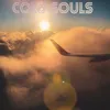 About Cold Souls Song