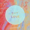 About Shy Love Song