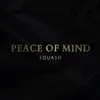 About Peace of Mind Song
