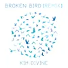 Broken Bird