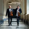 About Duo for Violin and Viola in G major, K. 423, No. 1: I. Allegro Song