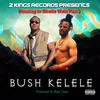 About Bush Kelele (Warning to Shatta Wale, Pt. 1) Song