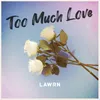 About Too Much Love Song