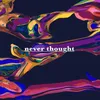About Never Thought Song