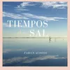 About Tiempos De Sal Song