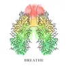 About Breathe Song