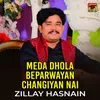 Meda Dhola Beparwayan Changiyan Nai