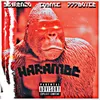 About Harambe Song