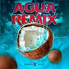 About Agua Remix Song