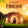 About Distant Place Song