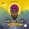 About She Feel Love Song
