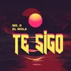 About Te Sigo Song