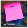 Mr Potential