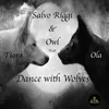 About Dance With Wolves Song