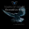 About Tears of Doves Song