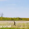 ‎anemia