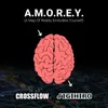 About A.M.O.R.E.Y. (A Map of Reality Embodies Yourself) Song