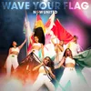 About Wave Your Flag Song